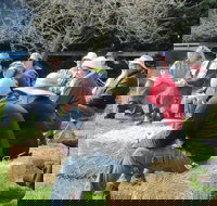 All Season Cold Climate Organic Vegetable Growing - Darwin Holiday