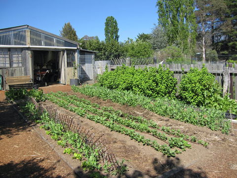 All Season Cold Climate Organic Vegetable Growing - Darwin Holiday 1