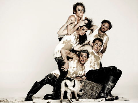 Animal Farm - Launceston - Darwin Holiday 0