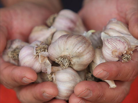 Armidale Farmers' Market - Darwin Holiday 0
