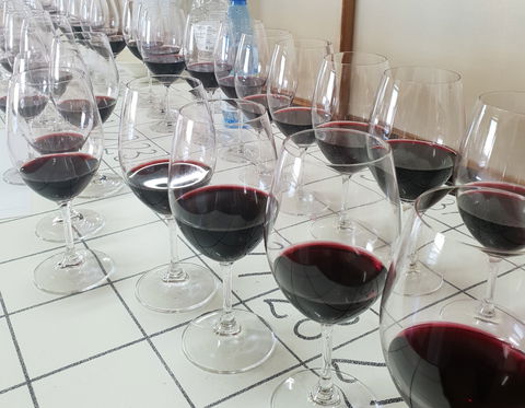 Australian Cool Climate Wine Show - Darwin Holiday 1