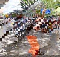 Australian National Busking Championships - Darwin Holiday