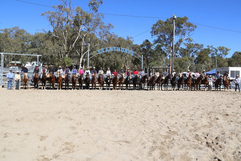 Australian Campdraft Association National Finals Campdraft 2021 - Darwin Holiday 0