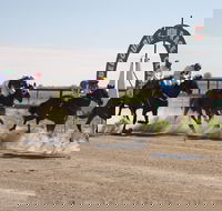 Bedourie Races and Rodeo - Darwin Holiday