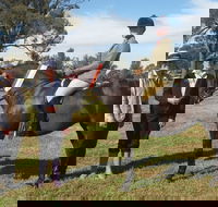 Birbbaree Show - Darwin Holiday