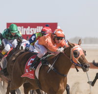 Birdsville Races - Darwin Holiday