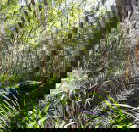 Bottlebutt Bash Trail Run - Darwin Holiday