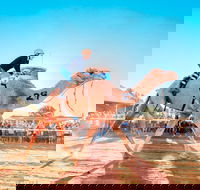 Boulia Camel Races - Darwin Holiday