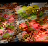 Braidwood Farmers Markets - Darwin Holiday