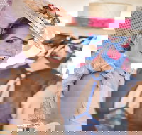 Cairns Amateurs - Darwin Holiday