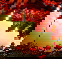 Carols by Candlelight Boorowa - Darwin Holiday