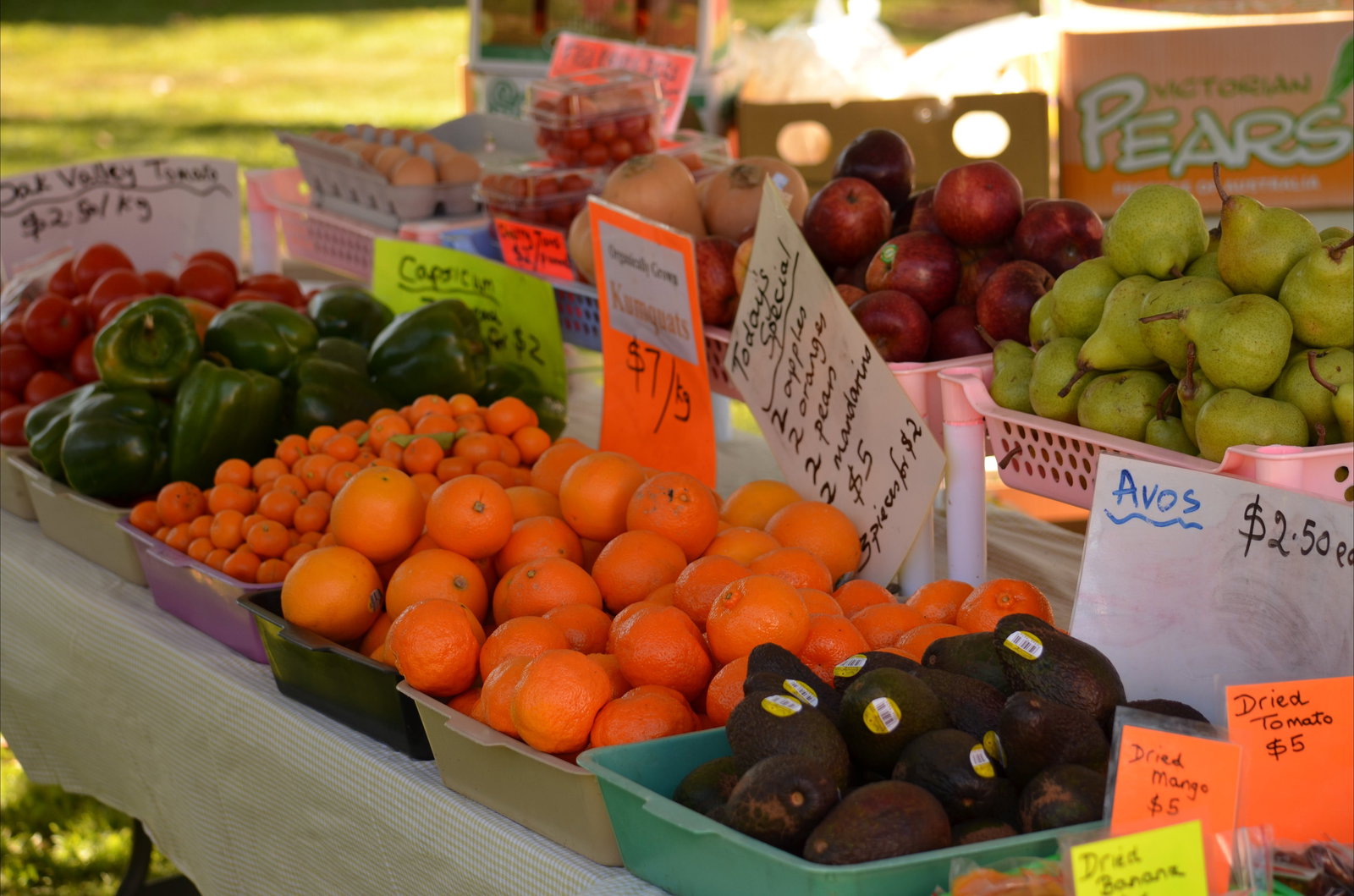 Aramac QLD Darwin Holiday