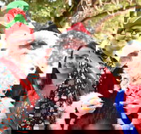 Christmas on the Plains - Quirindi - Darwin Holiday