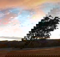 Christmas in July Jumpers and Jazz - Darwin Holiday