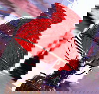 Collectable Sundays - Bus Depot Markets - Darwin Holiday