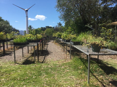 Conservation Volunteers Australia Townsville - Ocean View Nursery - Darwin Holiday 0