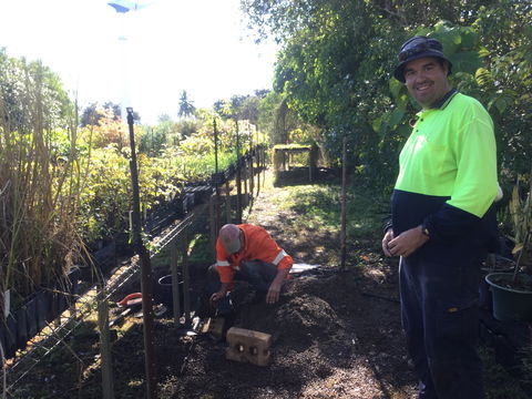 Conservation Volunteers Australia Townsville - Ocean View Nursery - Darwin Holiday 1