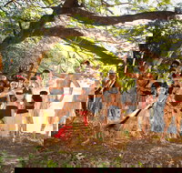 Cooktown and Cape York Expo 2021 - Darwin Holiday