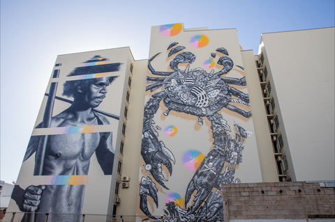Darwin Street Art Festival - Darwin Holiday 2