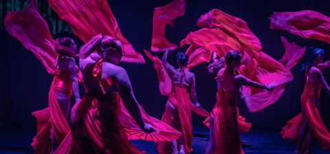 Darwin Fringe Festival - Darwin Holiday 1
