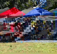 Dogs in the Park Shell Harbour - Darwin Holiday