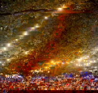 Festivale - Darwin Holiday