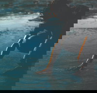 Flow - Darwin Holiday