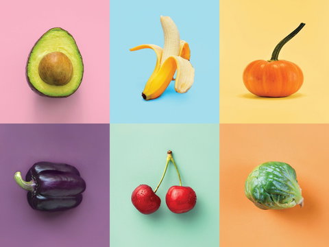 Food For Thought: Nutrition Decisions - Darwin Holiday 0