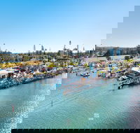 Fred Williams Aquatic Festival - Darwin Holiday