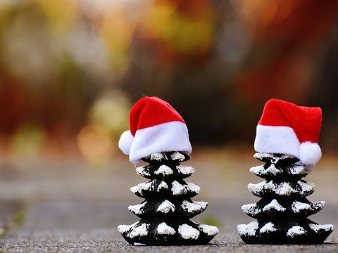 Glenmore Park Christmas Market - Darwin Holiday 0