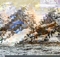 Gundagai Rodeo - Darwin Holiday