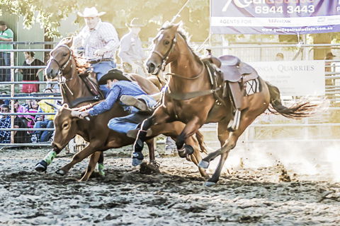 Gundagai Rodeo - Darwin Holiday 0