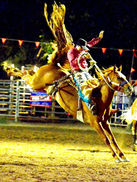Gundagai Rodeo - Darwin Holiday 1