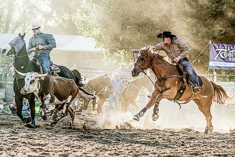 Gundagai Rodeo - Darwin Holiday 2