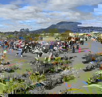 Hobart Showground Sunday Market - Weekly - Darwin Holiday