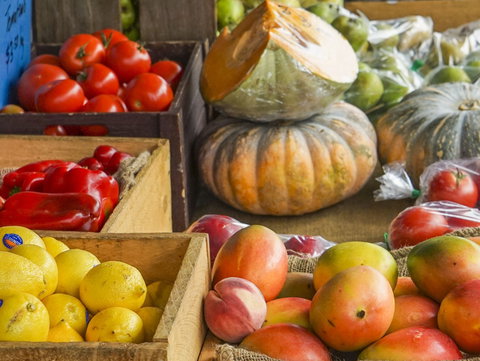 Hobart Showground Sunday Market - Weekly - Darwin Holiday 2