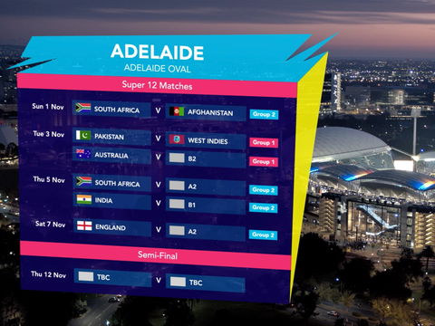 ICC Men's T20 World Cup - Semi-Final - Darwin Holiday 1