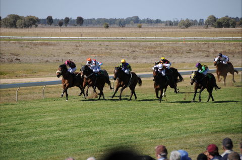 Jerilderie Gold Cup Races - Darwin Holiday 0
