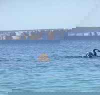 Jervis Bay's Sydney to Hobart Experience - Darwin Holiday