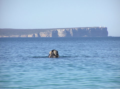 Jervis Bay's Sydney To Hobart Experience - Darwin Holiday 0