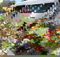 Johns River Country Markets - Darwin Holiday