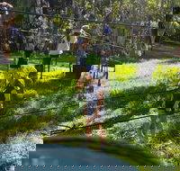 July 2020 Holidays- Forest Smores  Explore