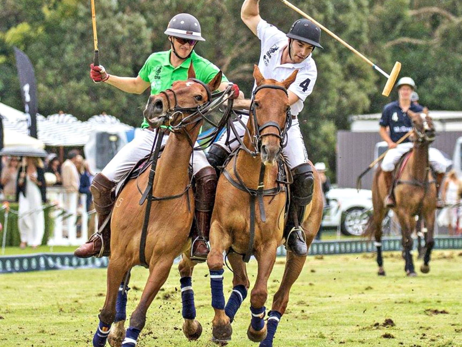 Centennial Park NSW Darwin Holiday