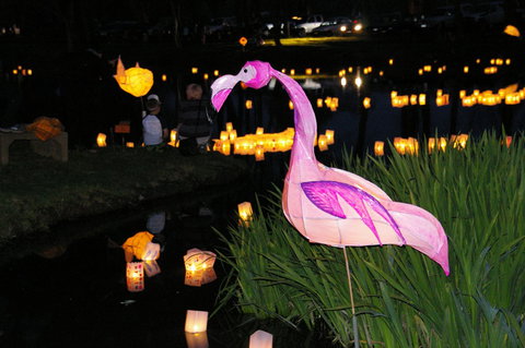Lanterns On The Lagoon - Darwin Holiday 1