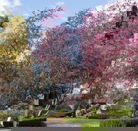 Leura Gardens Festival - Cancelled - Darwin Holiday