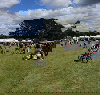 Majors Creek Festival - Darwin Holiday