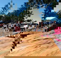 Maleny Wood Expo From Seed to Fine Furniture - Darwin Holiday