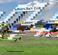Moree Race Club TAB Race Day - Darwin Holiday