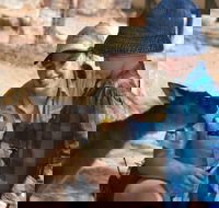 Mums and Cubs And Dads too - Darwin Holiday