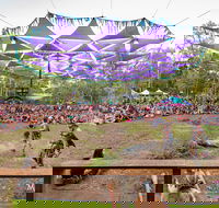 Mushroom Valley Festival